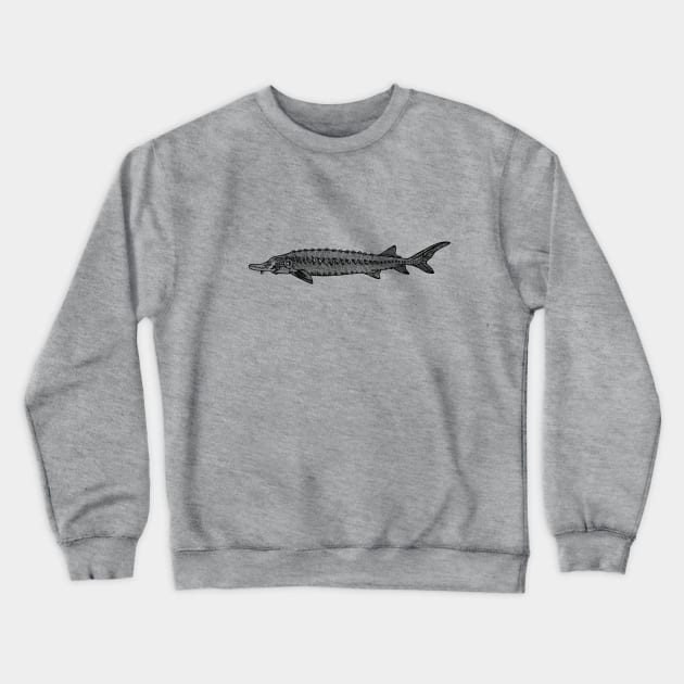 Common Sturgeon fish drawing on light colors Crewneck Sweatshirt by Green Paladin